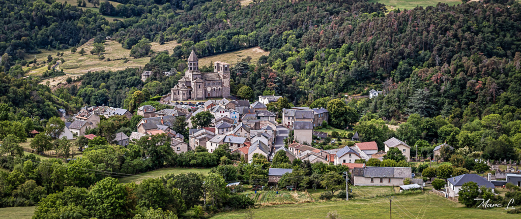saint nectaire